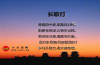 長(zhǎng)歌行翻譯、賞析、拼音版注音、字詞解釋?zhuān)h樂(lè)府）