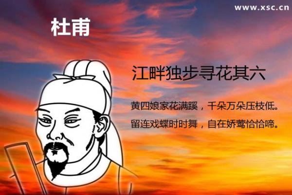 江畔獨(dú)步尋花閱讀答案（閱讀理解題及答案）