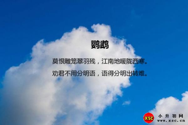 羅隱鸚鵡閱讀答案（閱讀理解題及答案）