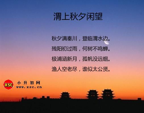 渭上秋夕閑望翻譯賞析（詩(shī)歌鑒賞）與閱讀答案