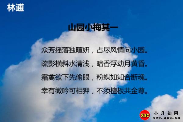 山園小梅其一閱讀答案（閱讀理解題及答案）