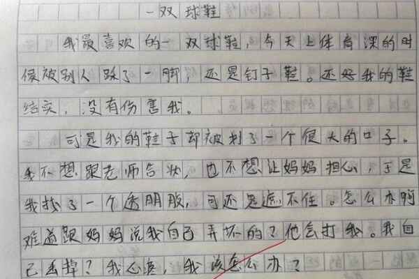 關(guān)于球鞋的作文：《一雙球鞋》