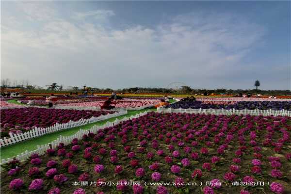 2019南京雨花臺區(qū)跨區(qū)（市）就讀小升初回區(qū)報名登記范圍+材料+時間+流程