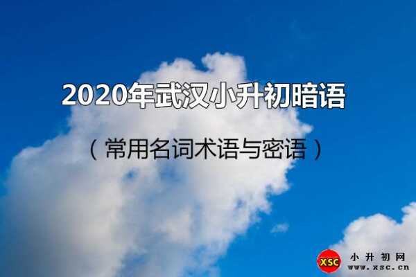 2020年武漢小升初暗語（常用名詞術(shù)語與密語）