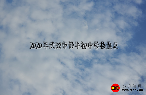 2020年武漢市最牛初中學校盤點.jpg