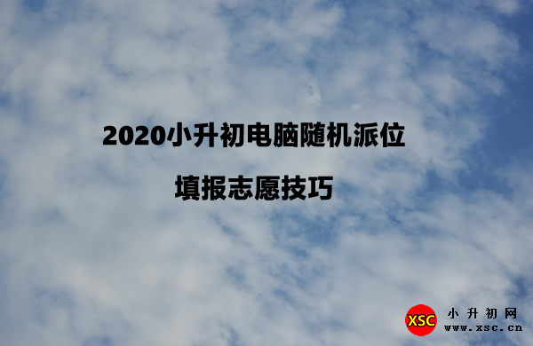 2020小升初電腦隨機(jī)派位填報(bào)志愿技巧.jpg