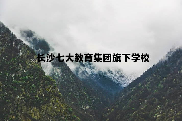 長(zhǎng)沙七大教育集團(tuán)旗下學(xué)校.jpg