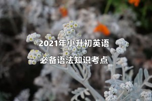 2021年小升初英語(yǔ)必備語(yǔ)法知識(shí)考點(diǎn)