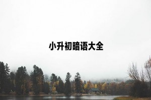 2021廣州小升初暗語(yǔ)大全(含學(xué)校代碼)