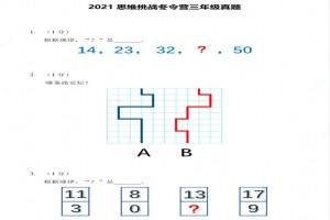 2021希望數(shù)學(xué)深度探索思維挑戰(zhàn)冬令營三年級考試真題及答案