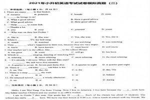 2021年小升初英語考試試卷真題模擬卷