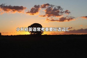 小升初英語(yǔ)常考重要短語(yǔ)詞匯匯總