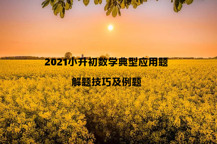 2021小升初數(shù)學典型應用題解題技巧及例題.jpg