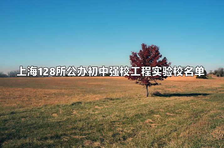 上海128所公辦初中強(qiáng)校工程實(shí)驗(yàn)校名單.jpg