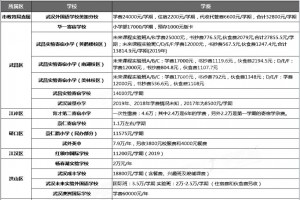 2020武漢熱門民辦小學(xué)收費(fèi)標(biāo)準(zhǔn)(學(xué)費(fèi))一覽