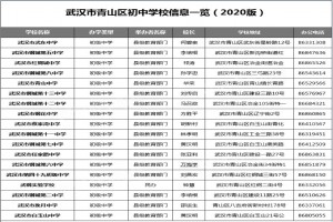 2020-2021年武漢青山區(qū)初中排行榜(梯隊排名)