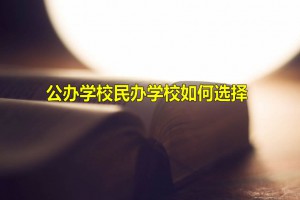 小升初公辦學(xué)校民辦學(xué)校如何選擇，它們的區(qū)別是什么？