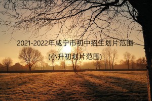 2021-2022年咸寧市初中招生劃片范圍(小升初劃片范圍)