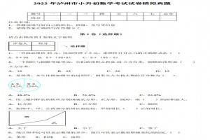 2022年瀘州市小升初數(shù)學(xué)考試試卷模擬真題及答案