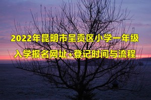 2022年昆明市呈貢區(qū)小學(xué)一年級(jí)入學(xué)報(bào)名網(wǎng)址+登記時(shí)間與流程