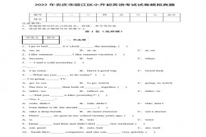 2022年安慶市迎江區(qū)小升初英語(yǔ)考試試卷模擬真題及答案