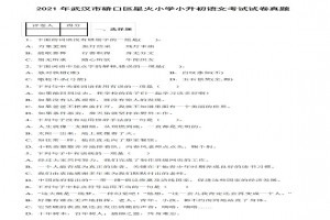 2021年武漢市硚口區(qū)星火小學(xué)小升初語文考試試卷真題及答案