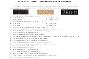 2021年文山州硯山縣小升初語文考試試卷真題及答案(部編版)