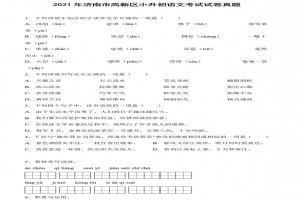 2021年濟(jì)南市高新區(qū)小升初語(yǔ)文考試試卷真題