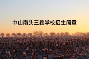 2022年中山南頭三鑫學(xué)校招生簡(jiǎn)章及收費(fèi)標(biāo)準(zhǔn)(小學(xué)、初中)