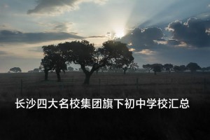 長(zhǎng)沙四大名校集團(tuán)旗下初中學(xué)校匯總