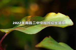 2022年南昌二中中加班招生簡章(附收費(fèi)標(biāo)準(zhǔn))