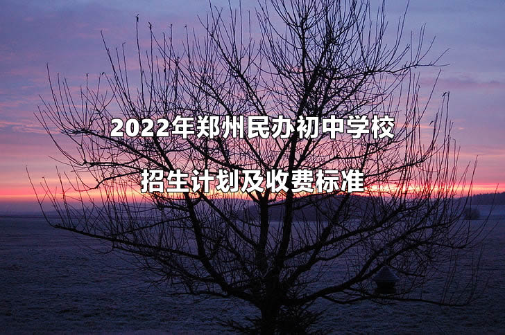 2022年鄭州民辦初中學(xué)校招生計劃及收費標(biāo)準(zhǔn).jpg