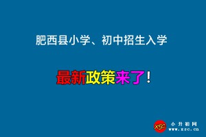 2022年肥西縣小學(xué)、初中招生入學(xué)最新政策