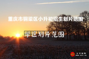 2022年重慶市銅梁區(qū)小升初招生劃片范圍(含初中對口小學名單)