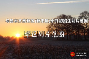 2022-2023年烏魯木齊高新區(qū)(新市區(qū))小升初招生劃片范圍一覽