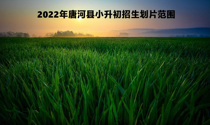 2022年唐河縣小升初招生劃片范圍.jpg