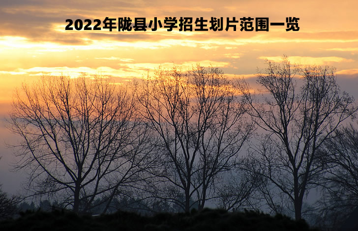 2022年隴縣小學招生劃片范圍一覽.jpg