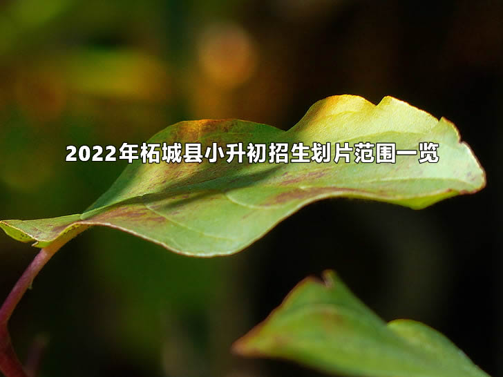 2022年柘城縣小升初招生劃片范圍一覽.jpg