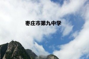 2022年棗莊市第九中學(xué)小升初招生簡章(附招生劃片范圍)