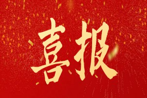 2022年民辦東鼎外國語學(xué)校中考成績升學(xué)率(中考喜報(bào))