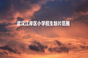 2022-2023年武漢江岸區(qū)小學(xué)招生劃片范圍(入學(xué)服務(wù)范圍)