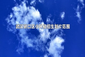 2022-2023年武漢硚口區(qū)小升初招生劃片范圍(初中劃片)