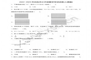 2022-2023年百色市小升初數(shù)學(xué)考試試卷真題及答案(人教版)