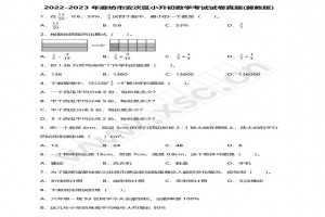 2022-2023年廊坊市安次區(qū)小升初數學考試試卷真題及答案(冀教版)
