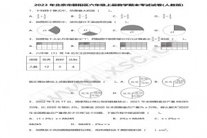 2023年北京市朝陽區(qū)六年級上冊數(shù)學(xué)期末考試試卷及答案(人教版)