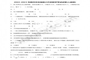 2022-2023年贛州市石城縣小升初數(shù)學(xué)考試試卷真題及答案(人教版)