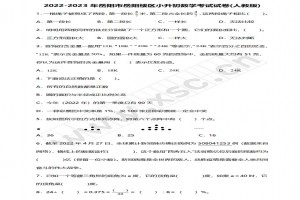 2022-2023年岳陽市岳陽樓區(qū)小升初數(shù)學考試試卷真題及答案(人教版)