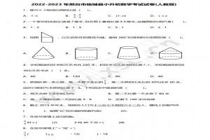 2022-2023年邢臺(tái)市臨城縣小升初數(shù)學(xué)考試試卷真題及答案(人教版)