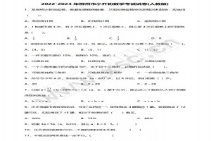 2022-2023年郴州市小升初數(shù)學(xué)考試試卷真題及答案(人教版)