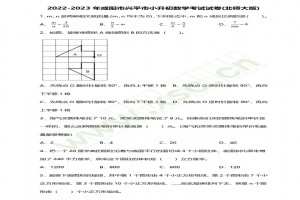 2022-2023年咸陽市興平市小升初數(shù)學(xué)考試試卷真題及答案(北師大版)